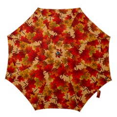 Wallpaper Background Autumn Fall Hook Handle Umbrellas (medium)
