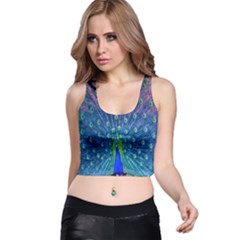 Amazing Peacock Racer Back Crop Top by Simbadda