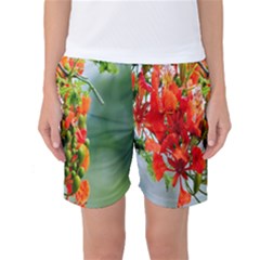 Gathering Sping Flowers Wallpapers Women s Basketball Shorts by artworkshop