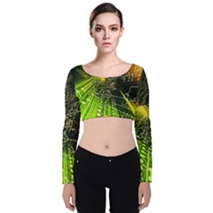 Machine Technology Circuit Electronic Computer Technics Detail Psychedelic Abstract Pattern Velvet Long Sleeve Crop Top by Sarkoni