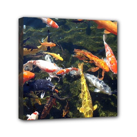 Koi Pond 3d Fish Mini Canvas 6  X 6  (stretched) by Grandong