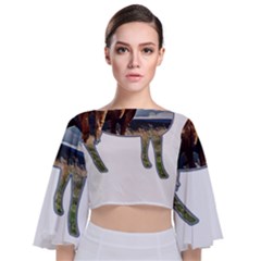 Brown Cow T- Shirt Brown Cow Painting Within A Cow Silhouette Outline T- Shirt Yoga Reflexion Pose T- Shirtyoga Reflexion Pose T- Shirt Tie Back Butterfly Sleeve Chiffon Top by hizuto