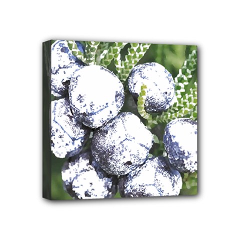 Gin T- Shirt Gin Juniper Berry Plant Photo T- Shirt Mini Canvas 4  X 4  (stretched)