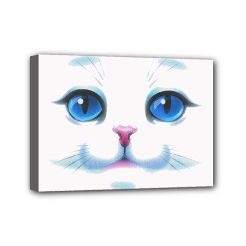 Cute White Cat Blue Eyes Face Mini Canvas 7  X 5  (stretched) by Ket1n9