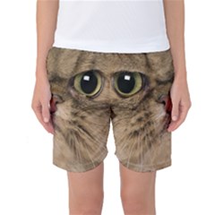 Cute Persian Catface In Closeup Women s Basketball Shorts by Amaryn4rt