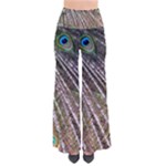 Peacock-feathers-pattern-colorful So Vintage Palazzo Pants