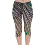 Peacock-feathers-pattern-colorful Velvet Capri Leggings 