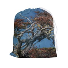 Botanical Wonders Of Argentina  Drawstring Pouch (2xl) by dflcprintsclothing