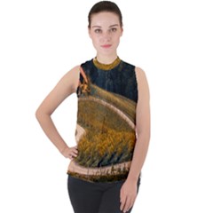 Vineyard Agriculture Farm Autumn Mock Neck Chiffon Sleeveless Top by Sarkoni