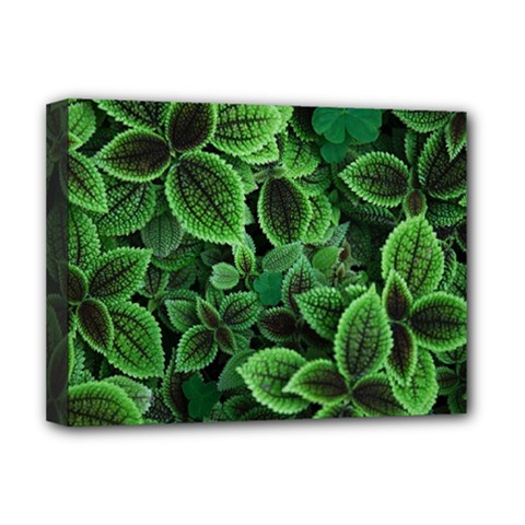 Shanghai Botanical Garden Deluxe Canvas 16  X 12  (stretched)  by Pakjumat