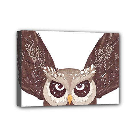 Owl Bird Feathers Mini Canvas 7  X 5  (stretched)