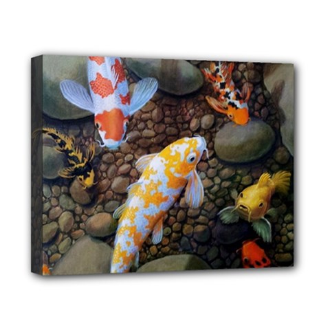 Koi Fish Clown Pool Stone Canvas 10  X 8  (stretched) by Cemarart