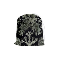 Weave Haeckel Lichenes Photobionten Drawstring Pouch (medium) by Cemarart