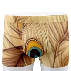 Vintage Peacock Feather Peacock Feather Pattern Background Nature Bird Nature Men s Boxer Briefs by Maspions