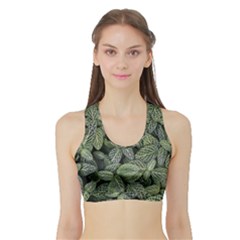 Leaves Foliage Botany Plant Sports Bra With Border by Maspions