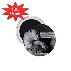 Vintage Usa Alaska Mother Polar Bear 1970 100 Pack Small Magnet (round) by Vintagephotos