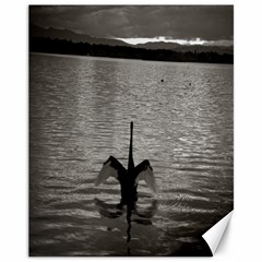 Swan, Canberra 11  X 14  Unframed Canvas Print by artposters