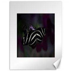 Butterfly 059 001 Canvas 36  X 48  (unframed)