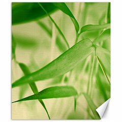 Bamboo Canvas 8  X 10  (unframed) by Siebenhuehner