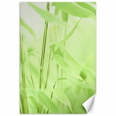 Bamboo Canvas 12  X 18  (unframed) by Siebenhuehner