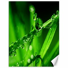 Waterdrops Canvas 12  X 16  (unframed) by Siebenhuehner