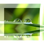 Waterdrops Deluxe Canvas 14  x 11  (Framed) 14  x 11  x 1.5  Stretched Canvas