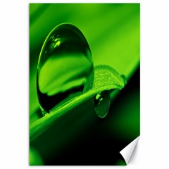 Green Drop Canvas 12  X 18  (unframed) by Siebenhuehner