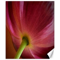 Poppy Canvas 8  X 10  (unframed) by Siebenhuehner