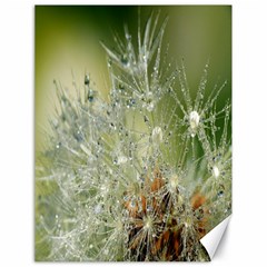 Dandelion Canvas 18  X 24  (unframed) by Siebenhuehner