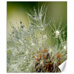 Dandelion Canvas 20  X 24  (unframed) by Siebenhuehner