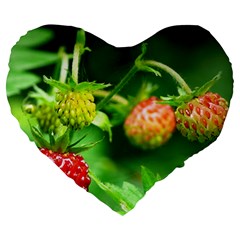 Strawberry  19  Premium Heart Shape Cushion by Siebenhuehner