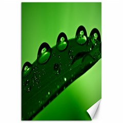 Waterdrops Canvas 20  X 30  (unframed) by Siebenhuehner