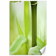 Bamboo Canvas 12  X 18  (unframed) by Siebenhuehner