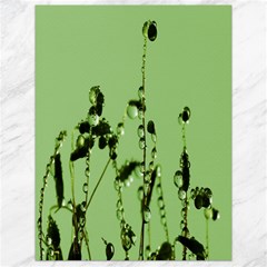 Mint Drops  Canvas 18  X 24  (unframed) by Siebenhuehner