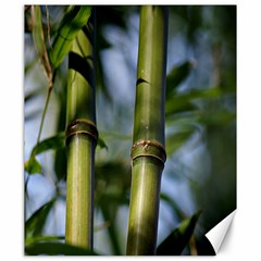 Bamboo Canvas 20  X 24  (unframed) by Siebenhuehner
