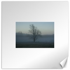 Foggy Tree Canvas 20  X 20  (unframed) by plainandsimple