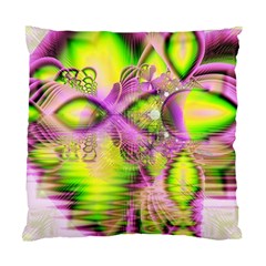 Raspberry Lime Mystical Magical Lake, Abstract  Cushion Case (two Sided)  by DianeClancy