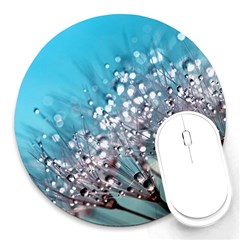 Dandelion 2015 0702 Round Mousepads by JAMFoto