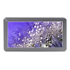 Dandelion 2015 0705 Memory Card Reader (mini) by JAMFoto