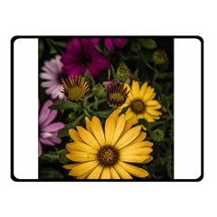 Beautiful Colourful African Daisies  Double Sided Fleece Blanket (small)  by OZMedia