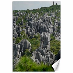 Stone Forest 1 Canvas 12  X 18   by trendistuff