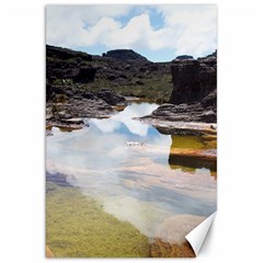 Mount Roraima 1 Canvas 20  X 30   by trendistuff