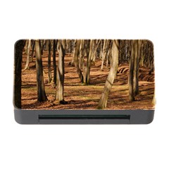 Wood Shadows Memory Card Reader With Cf by trendistuff