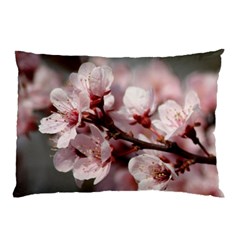 Plum Blossoms Pillow Cases by trendistuff