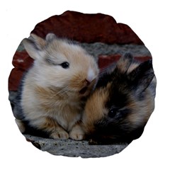 Small Baby Rabbits Large 18  Premium Flano Round Cushions by trendistuff