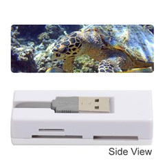 Sea Turtle Memory Card Reader (stick)  by trendistuff