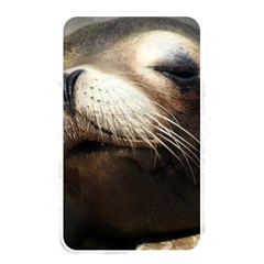 Cute Sea Lion Memory Card Reader by trendistuff