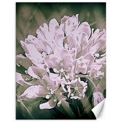 White Flower Canvas 18  X 24  