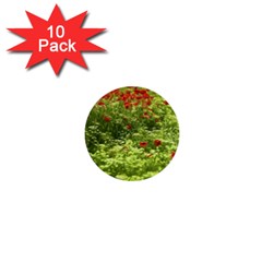 Poppy V 1  Mini Buttons (10 Pack)  by colorfulartwork