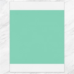 Mint Color Canvas 18  X 24   by picsaspassion